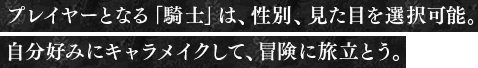 プレイヤーとなる「騎士」は、性別、見た目を選択可能。自分好みにキャラメイクして、冒険に旅立とう。