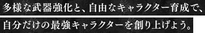 多様な武器強化と、自由なキャラクター育成で、自分だけの最強キャラクターを創り上げよう。